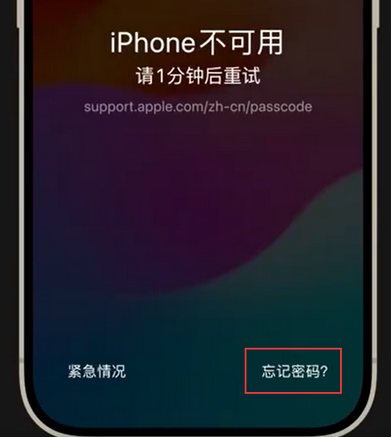 常山苹果手机密码维修分享iPhone忘记了刚设置的密码 